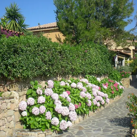 Baia De Bahas- Aure